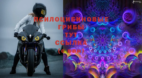 марихуана Абаза