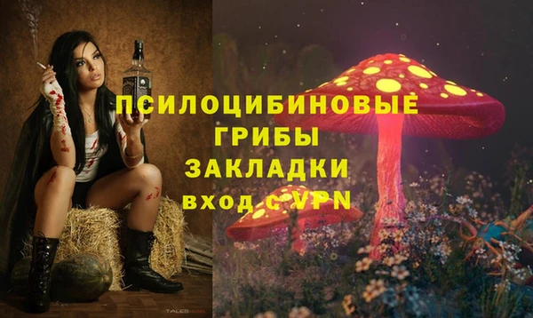 соль ск Абинск